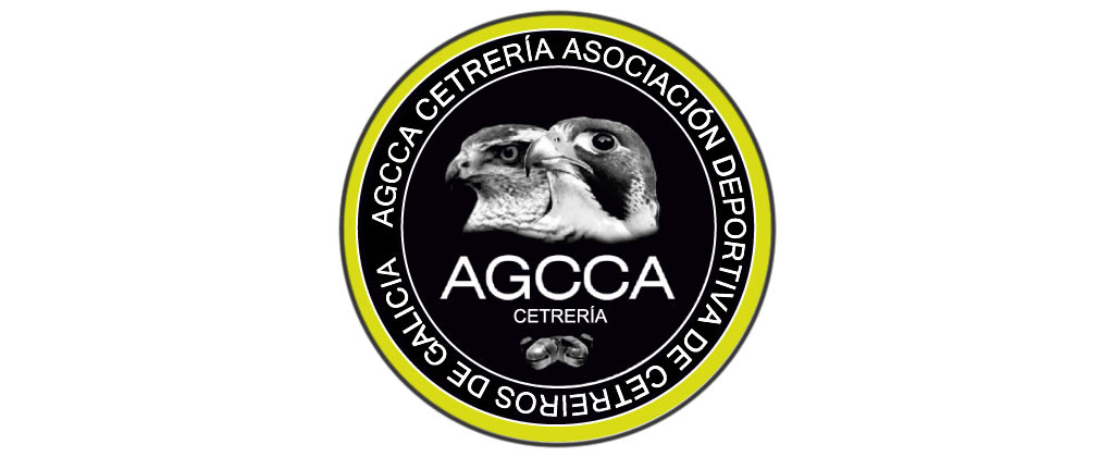 Entrevista a Carlos Gallego Presidente de la AGCCA Cetrería - Asociación Deportiva de Cetreiros de Galicia.