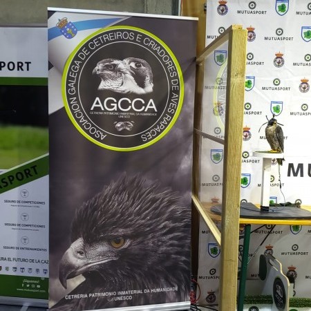 AGCCA Silleda 2025 AGCCA Fotografía 6