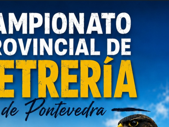 Imágen Pontevedra acogerá el Campeonato Provincial de Cetrería 2026 Foto AGCCA Pontevedra acogerá el Campeonato Provincial de Cetrería 2026